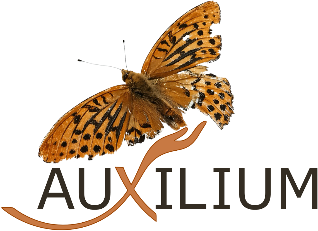 Auxilium &ndash; Schmetterling & Hand Logo